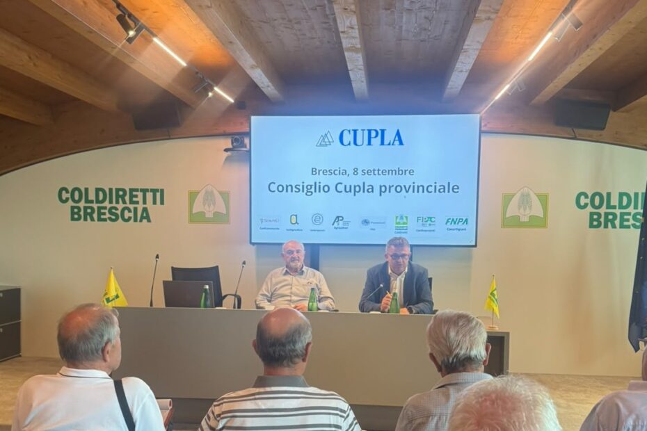 CUPLA Brescia